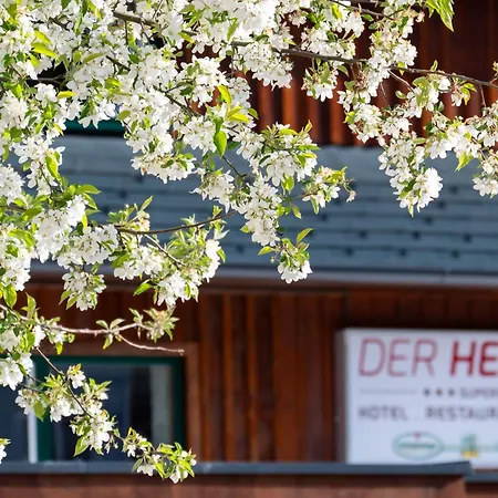 Hotel Der Hechl 3*