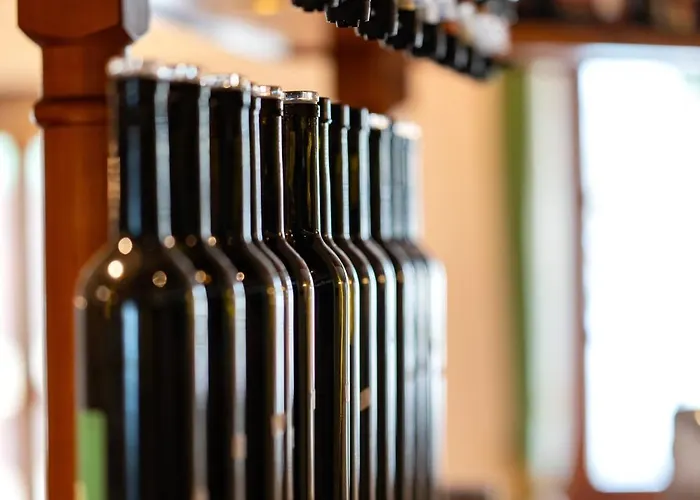 德赫赤尔酒店 3* 陶普利茨